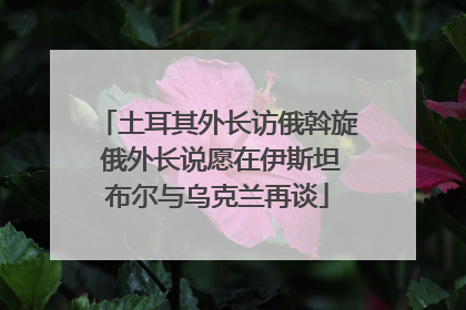 土耳其外长访俄斡旋 俄外长说愿在伊斯坦布尔与乌克兰再谈