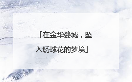 在金华婺城，坠入绣球花的梦境
