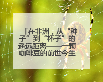 在非洲，从“种子”到“杯子”的遥远距离——一颗咖啡豆的前世今生（三）