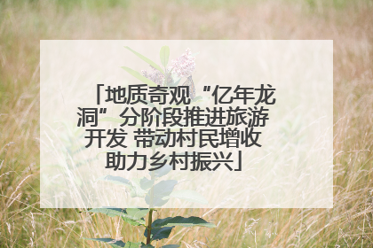 地质奇观“亿年龙洞”分阶段推进旅游开发 带动村民增收助力乡村振兴
