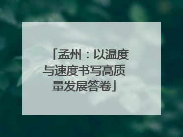 孟州：以温度与速度书写高质量发展答卷