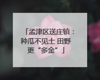 孟津区送庄镇：种瓜不见土 田野更“多金”