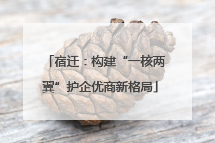 宿迁：构建“一核两翼”护企优商新格局