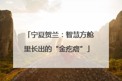 宁夏贺兰：智慧方舱里长出的“金疙瘩”