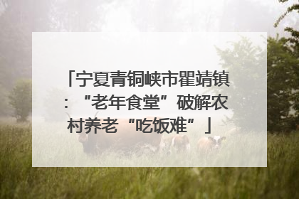 宁夏青铜峡市瞿靖镇：“老年食堂”破解农村养老“吃饭难”