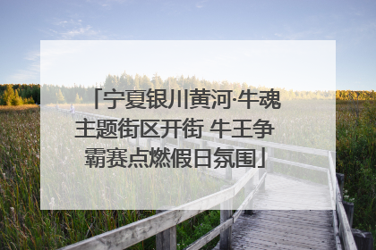 宁夏银川黄河·牛魂主题街区开街 牛王争霸赛点燃假日氛围