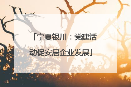 宁夏银川：党建活动促安居企业发展