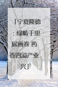 宁夏隆德：绿畴千里展画卷 药香四溢产业兴