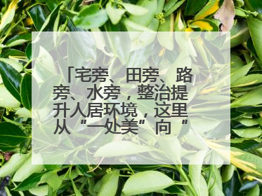 宅旁、田旁、路旁、水旁，整治提升人居环境，这里从“一处美”向“全域美”蝶变