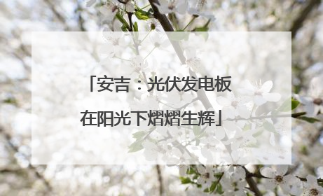 安吉：光伏发电板在阳光下熠熠生辉