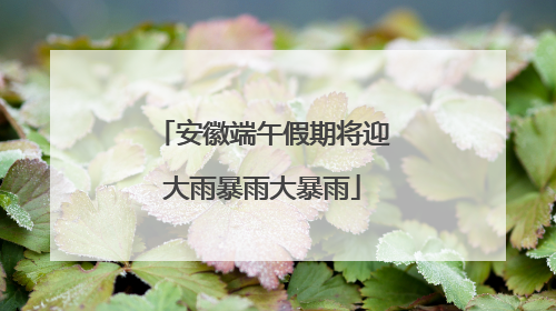 安徽端午假期将迎大雨暴雨大暴雨