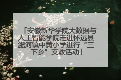 安徽新华学院大数据与人工智能学院走进怀远县淝河镇中黄小学进行“三下乡”支教活动
