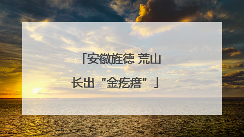 安徽旌德 荒山长出“金疙瘩”