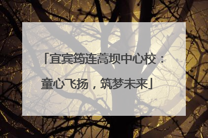 宜宾筠连蒿坝中心校：童心飞扬，筑梦未来