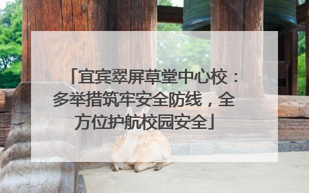 宜宾翠屏草堂中心校：多举措筑牢安全防线，全方位护航校园安全