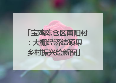 宝鸡陈仓区南阳村：大棚经济结硕果 乡村振兴绘新图