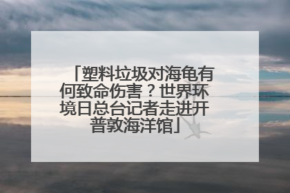 塑料垃圾对海龟有何致命伤害？世界环境日总台记者走进开普敦海洋馆