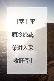 塞上平原冷凉蔬菜进入采收旺季