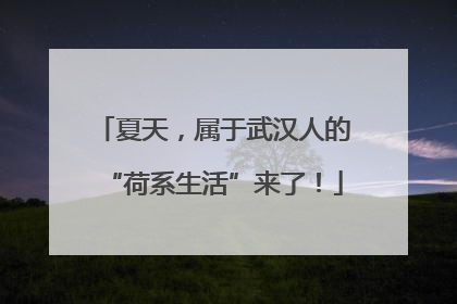 夏天，属于武汉人的“荷系生活”来了！