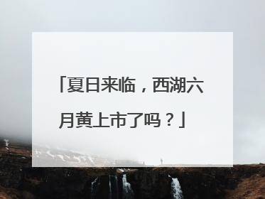 夏日来临，西湖六月黄上市了吗？