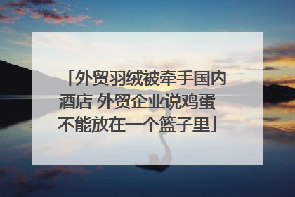 外贸羽绒被牵手国内酒店 外贸企业说鸡蛋不能放在一个篮子里