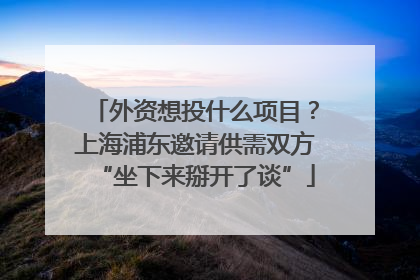 外资想投什么项目？上海浦东邀请供需双方“坐下来掰开了谈”