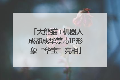大熊猫+机器人 成都成华禁毒IP形象“华宝”亮相