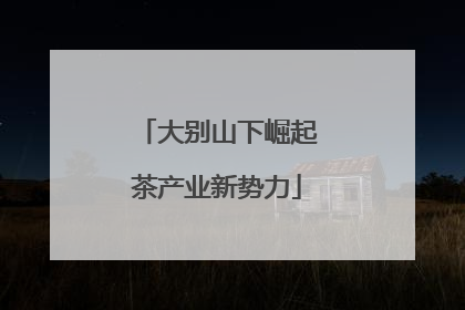 大别山下崛起茶产业新势力