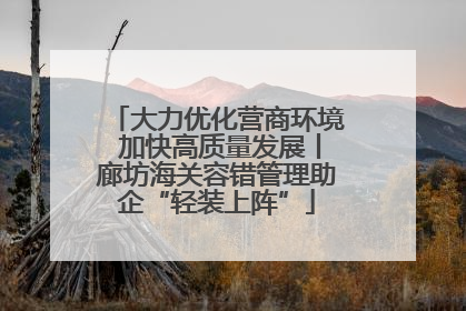 大力优化营商环境 加快高质量发展丨廊坊海关容错管理助企“轻装上阵”