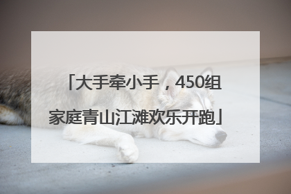 大手牵小手，450组家庭青山江滩欢乐开跑