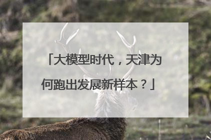 大模型时代，天津为何跑出发展新样本？
