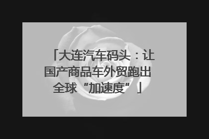 大连汽车码头：让国产商品车外贸跑出全球“加速度”