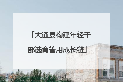 大通县构建年轻干部选育管用成长链