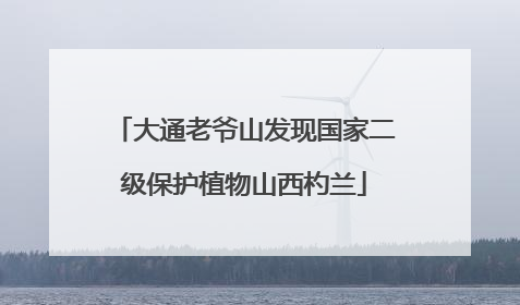 大通老爷山发现国家二级保护植物山西杓兰