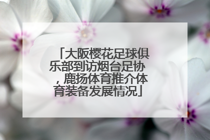 大阪樱花足球俱乐部到访烟台足协，鹿扬体育推介体育装备发展情况