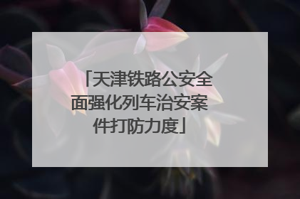 天津铁路公安全面强化列车治安案件打防力度