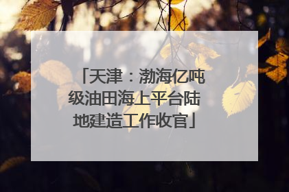 天津：渤海亿吨级油田海上平台陆地建造工作收官