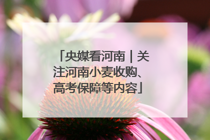 央媒看河南｜关注河南小麦收购、高考保障等内容