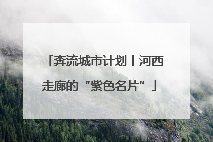 奔流城市计划丨河西走廊的“紫色名片”