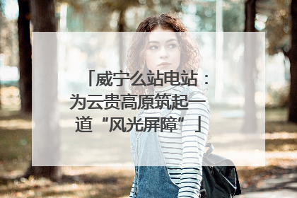 威宁么站电站：为云贵高原筑起一道“风光屏障”