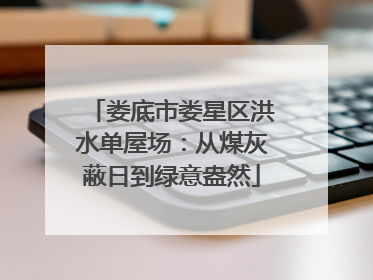 娄底市娄星区洪水单屋场：从煤灰蔽日到绿意盎然
