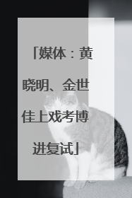 媒体：黄晓明、金世佳上戏考博进复试