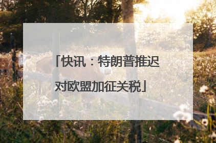 快讯：特朗普推迟对欧盟加征关税