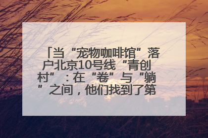 当“宠物咖啡馆”落户北京10号线“青创村”：在“卷”与“躺”之间，他们找到了第三种生活公式