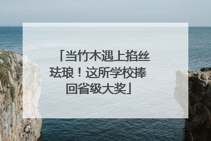 当竹木遇上掐丝珐琅！这所学校捧回省级大奖