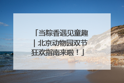 当粽香遇见童趣｜北京动物园双节狂欢指南来啦！