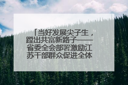 当好发展尖子生，蹚出共富新路子——省委全会部署激励江苏干部群众促进全体人民共同富裕
