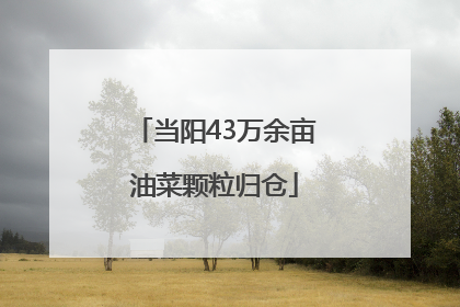 当阳43万余亩油菜颗粒归仓