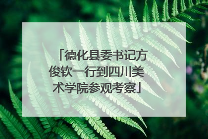 德化县委书记方俊钦一行到四川美术学院参观考察