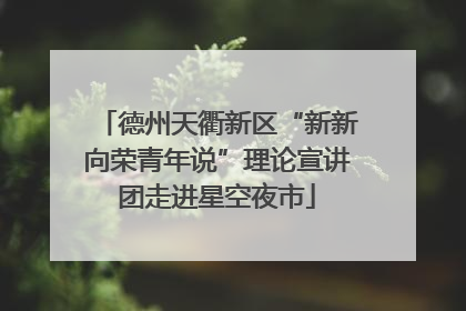 德州天衢新区“新新向荣青年说”理论宣讲团走进星空夜市
